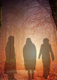 �ƻ���ɺ(GL)