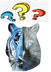 ����˭����Ů��